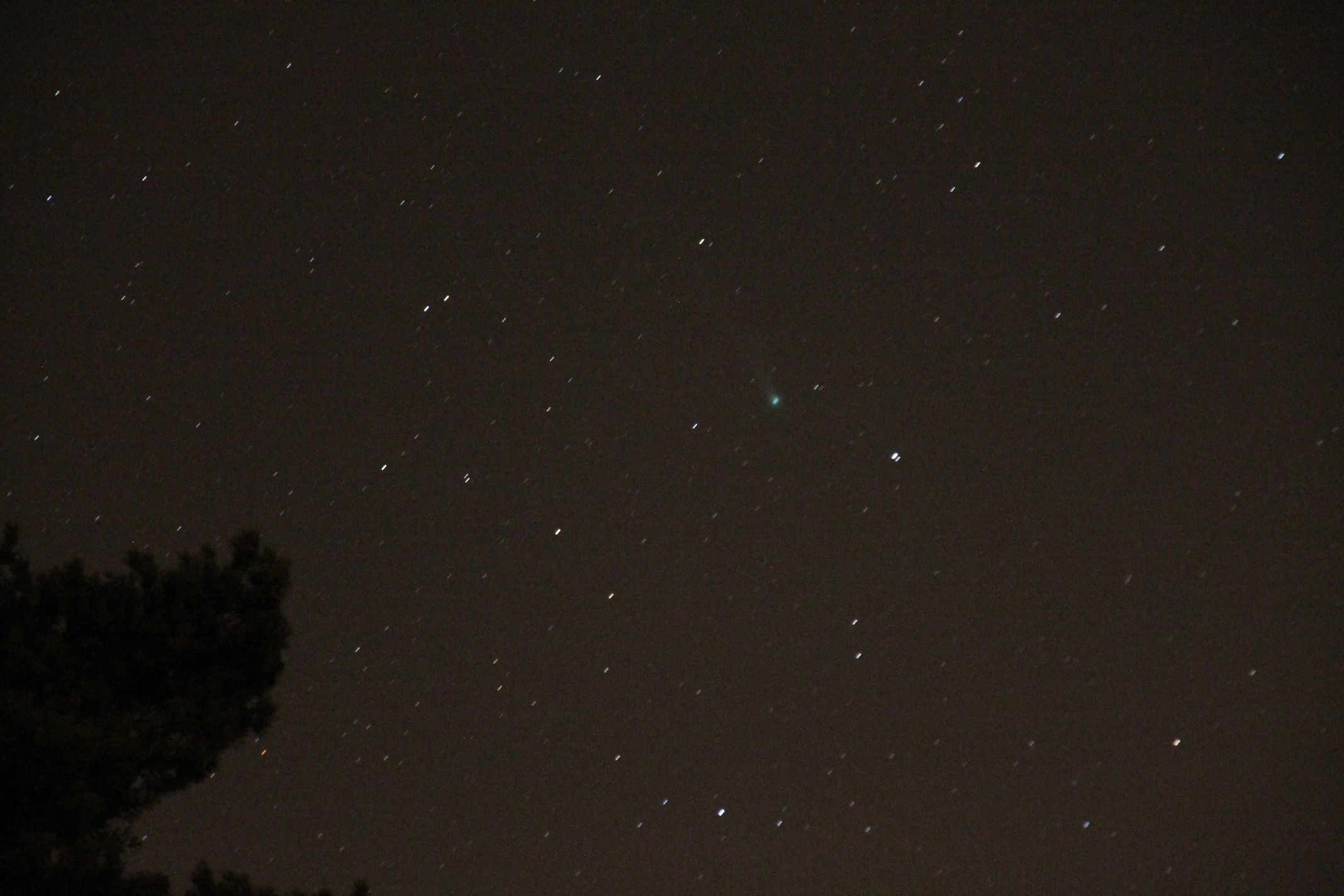 Lovejoy 2013-12-04